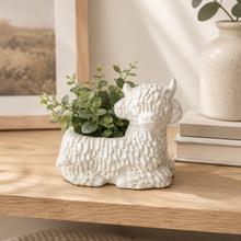 Load image into Gallery viewer, Highland Cow Planter/Pot