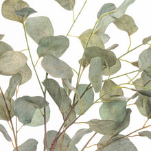 Load image into Gallery viewer, Eucalyptus Tree In A Metallic Pot (100 cm)