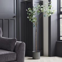 Load image into Gallery viewer, Eucalyptus Tree In A Metallic Pot (100 cm)