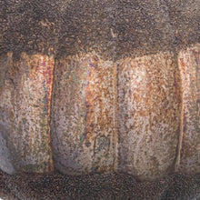 Load image into Gallery viewer, Large Burnished Decorative Pumpkin