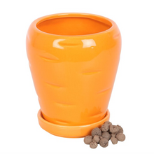 Load image into Gallery viewer, Carrot Shaped Plant Pot with Parsley Seed Balls
