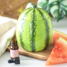 Load image into Gallery viewer, Watermelon Oil Burner and Wax Warmer
