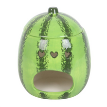 Load image into Gallery viewer, Watermelon Oil Burner and Wax Warmer
