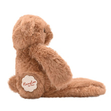 Load image into Gallery viewer, Hampton The Plush Long Leg Dark Brown Teddy Bear 30 cm
