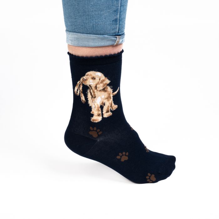'Hopeful' Labrador Ladies Socks