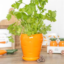Load image into Gallery viewer, Carrot Shaped Plant Pot with Parsley Seed Balls
