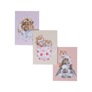 'Whiskers And Paws' Set Of 3 Notebooks