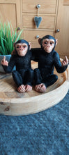 Load image into Gallery viewer, Twin Cheeky Monkeys
