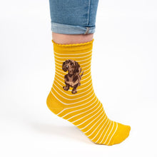 Load image into Gallery viewer, &#39;Little One&#39;  Dachshund Ladies Socks
