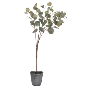 Eucalyptus Tree In A Metallic Pot (100 cm)